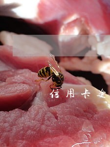信用卡逾期在还 还会啊高吗 信用卡逾期在还 还会啊高吗